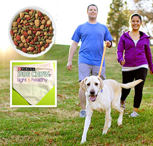 Free Purina Dog Chow Light & Healthy Samples & Free Dog Bandana