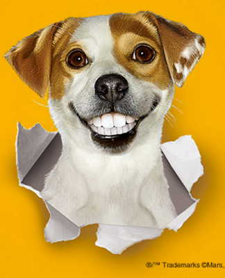 Pedigree Dentistix Coupon