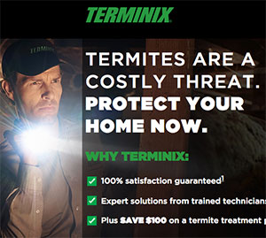 Free Termite Inspection