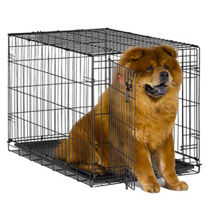 MidWest iCrate Folding Dog Crate Just $20.99 (Reg $74.99) + Prime