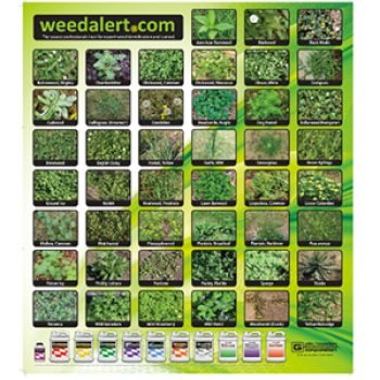 Free Garden Weed ID Poster - Free 4 Seniors