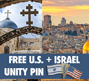 Free US + Israel Unity Pin