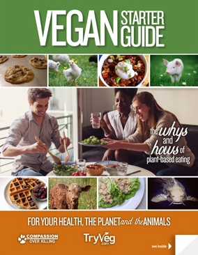 Free Vegan Starter Guide