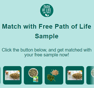 Free Path of Life Sample