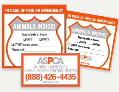 FREE Pet Safety Pack from the ASPCA for Peace of Mind