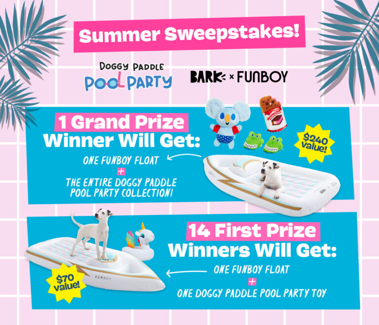 Win Fun Prizes in BARK’s Doggy Paddle Pool Party Sweepstakes