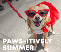 Free event: Paws-itively Summer