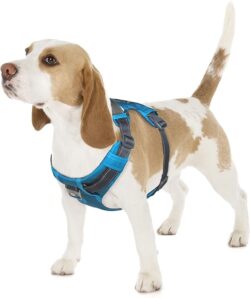 Boulder Adventure Adjustable Dog Harness for just $31.00