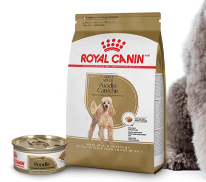 Royal Canin Poodle