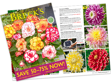 Free Breck’s Seed Catalog