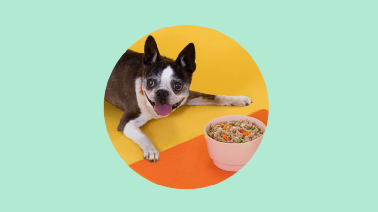 Free A Pup Above Dog Food In-Store with Coupon