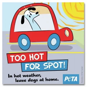 Free ‘Too Hot for Spot’ Window Decal