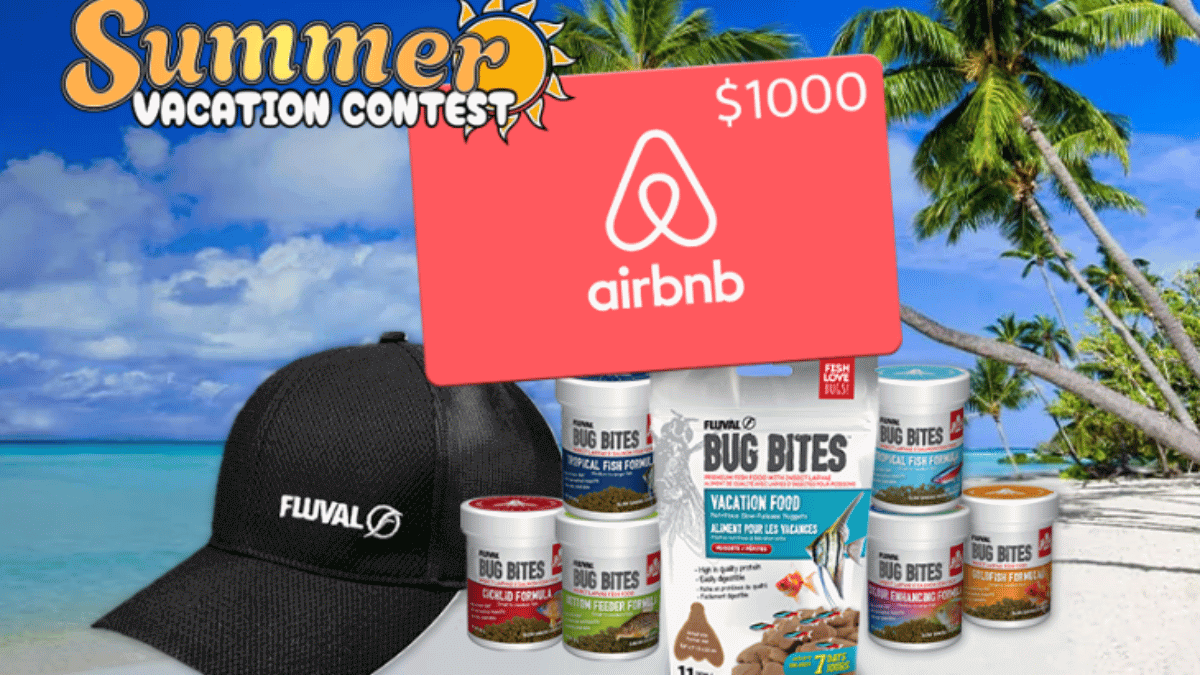 Win a $1000 Airbnb gift card and 1-year supply of Bug Bites fish food