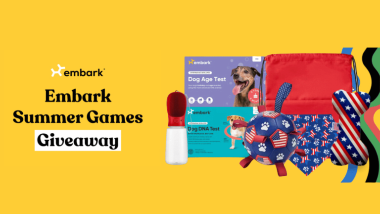 Embark Summer Games Giveaway